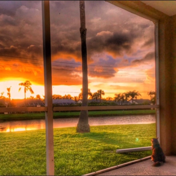 Meet your Posher, Dee! - Picture 9 of 15